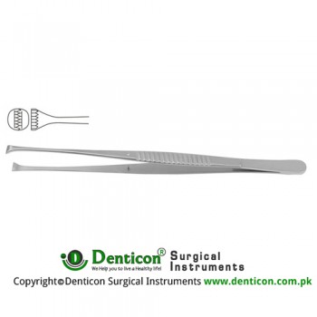 Nelson Dissecting Forceps Stainless Steel, 23 cm - 9" 